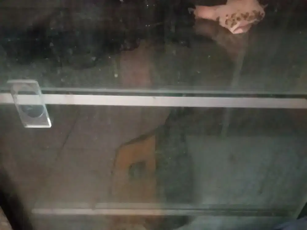 Etalase kaca almunium bekas