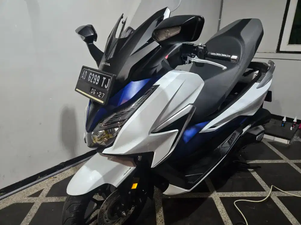 Forza 250 th 2022