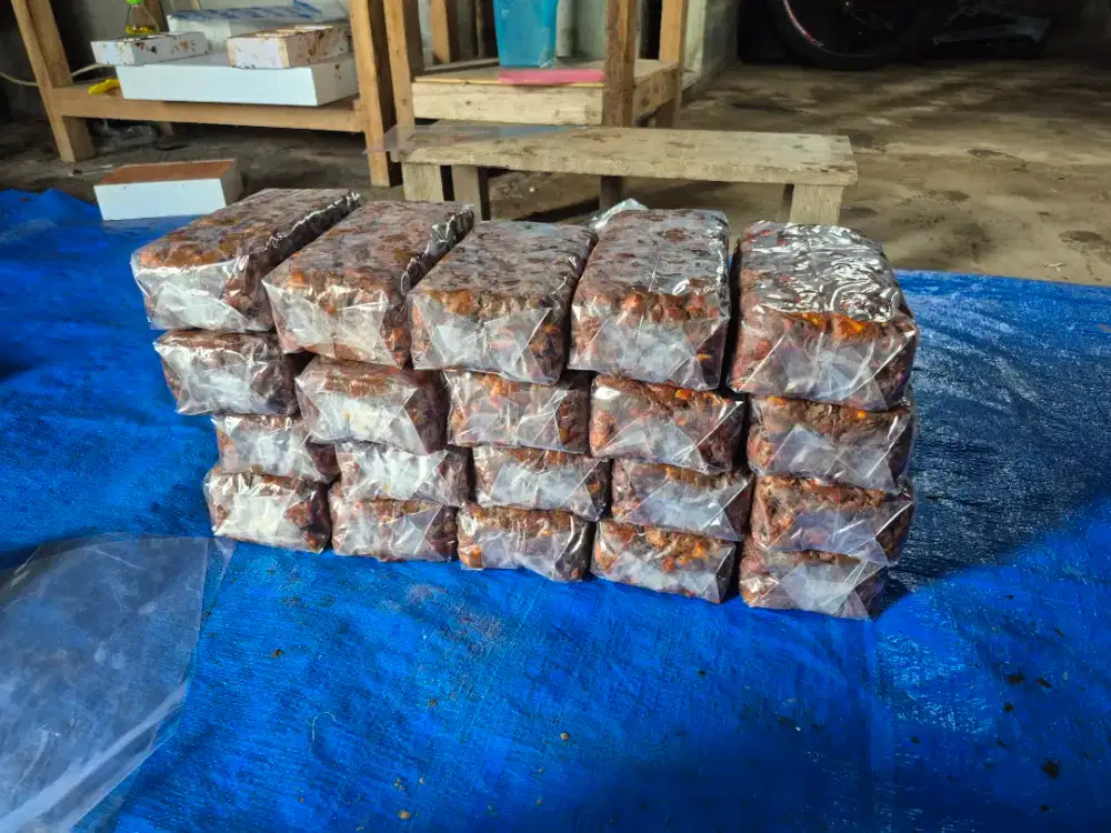 Jual asam tanpa biji dan asam biji
