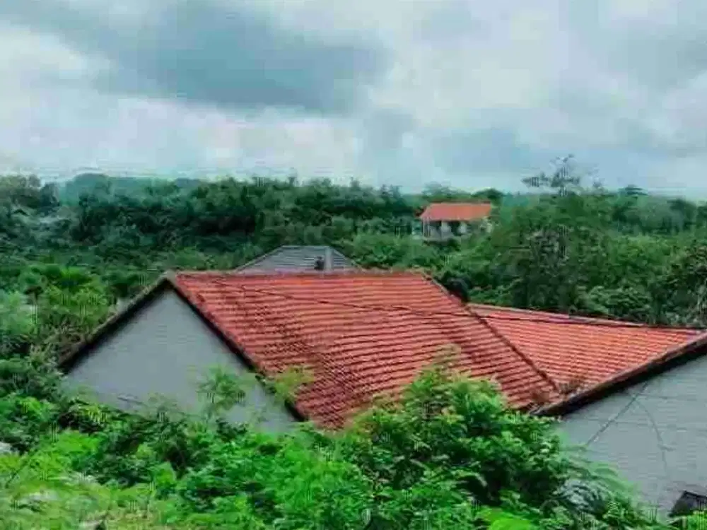 dijual tanah 6 are jln utama labuansait dekat Padang Padang Beach Pecatu Badung Bali