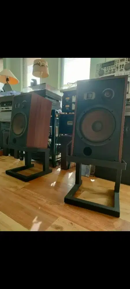 Pioneer HPM40 project 3 way 10 inch normal