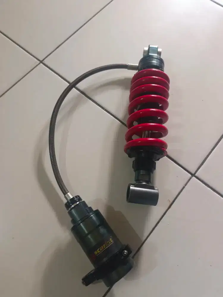Monosock scarlet