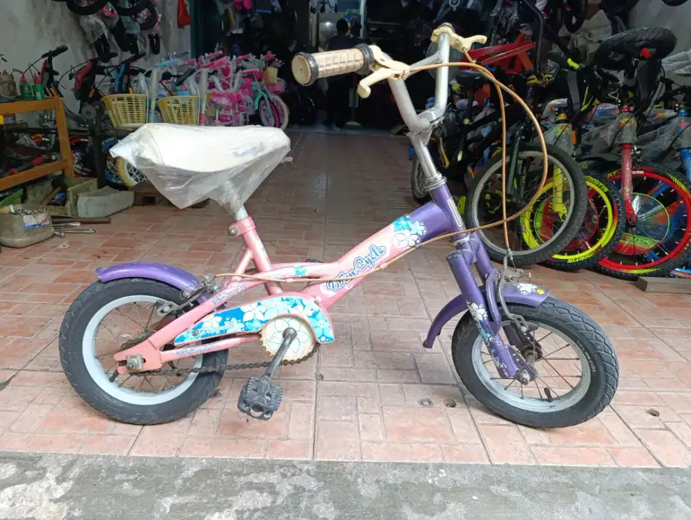 Sepeda wimcycle 12