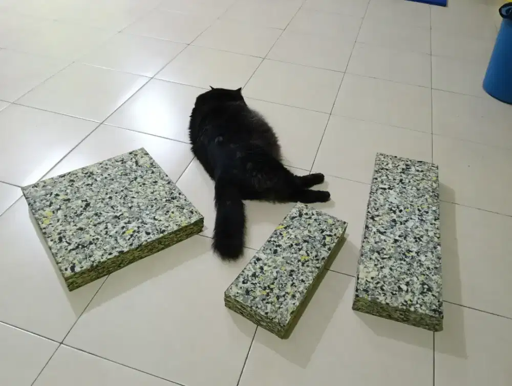 Busa Rebonded 6cm Sisa Potong Bikin Kursi