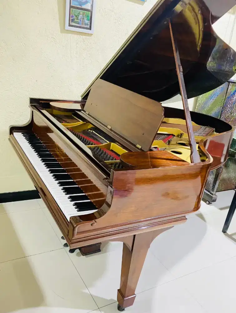 Grand Piano Steinway & Sons Type O Newyork Hamburg