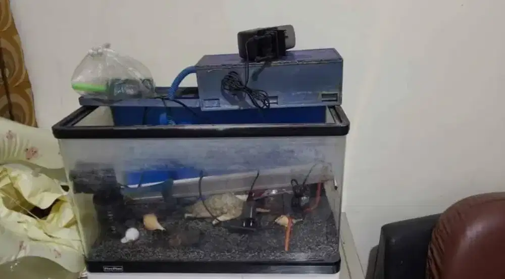 Aquarium bending besar tinggal masuk ikan