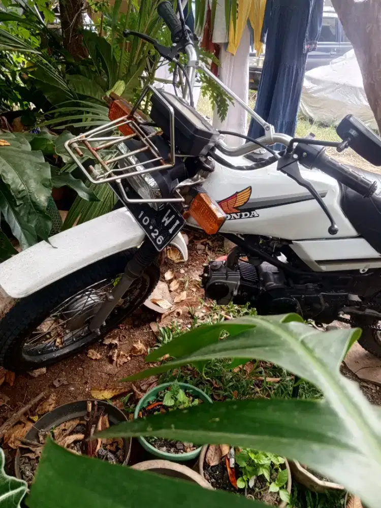 Honda win 100 semi trial
