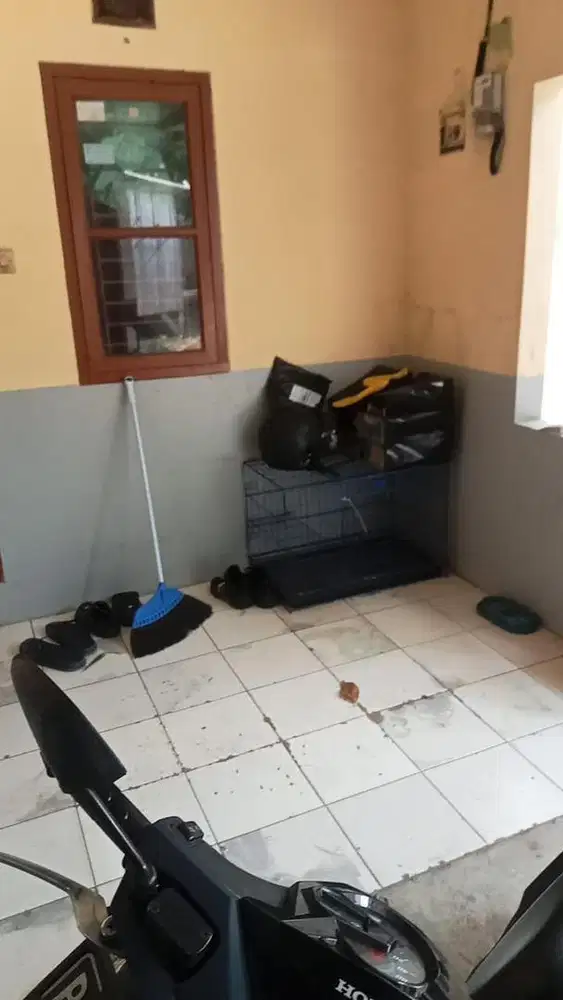 Kandang kucing besi