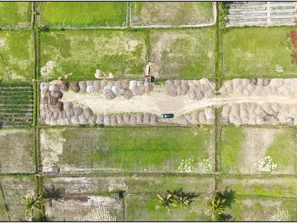 Tanah Jogja SHM P di Pandanaran Area Jakal KM 14