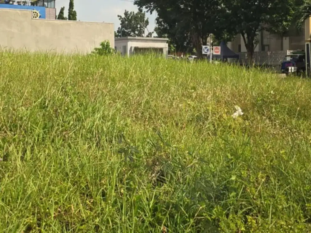 Dijual Tanah Citraland Utama Lokasi Ciamik