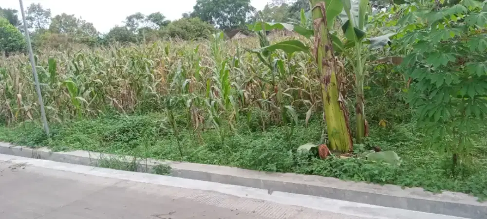 BU SECEPATNYA DIJUAL TANAH 3768 METER BUBAKAN MIJEN 1.200.000/METER