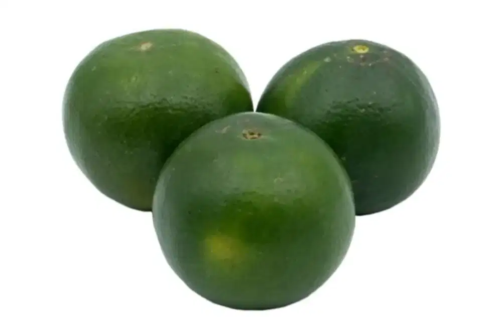 Buah jeruk peras