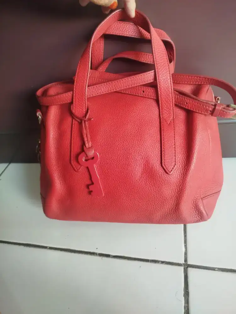 Tas fossil Sydney