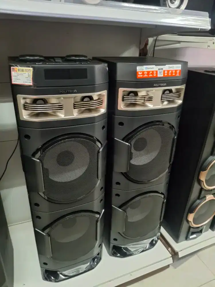 SPEAKER POKYTRON PAS 10DF28