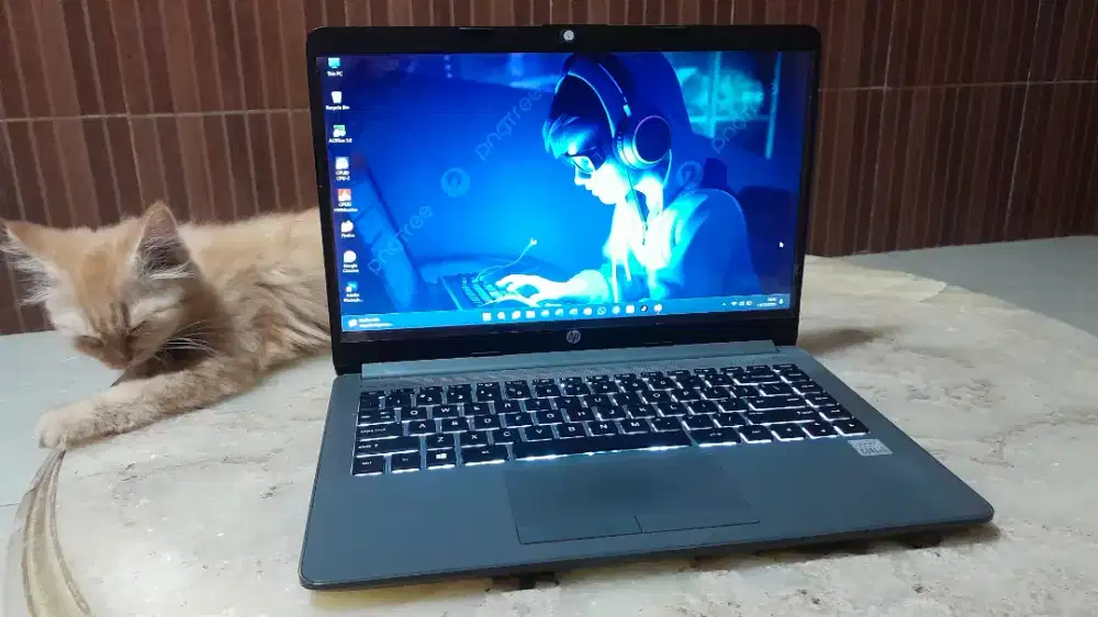 Laptop Hp 240 G8 core i5 Ram 8GB DDR4 ssd nvme 256GB Backlight GEN 10