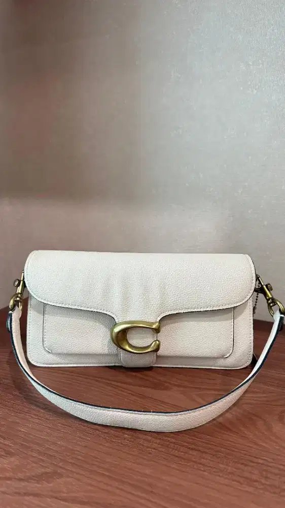 Coach bag tabby