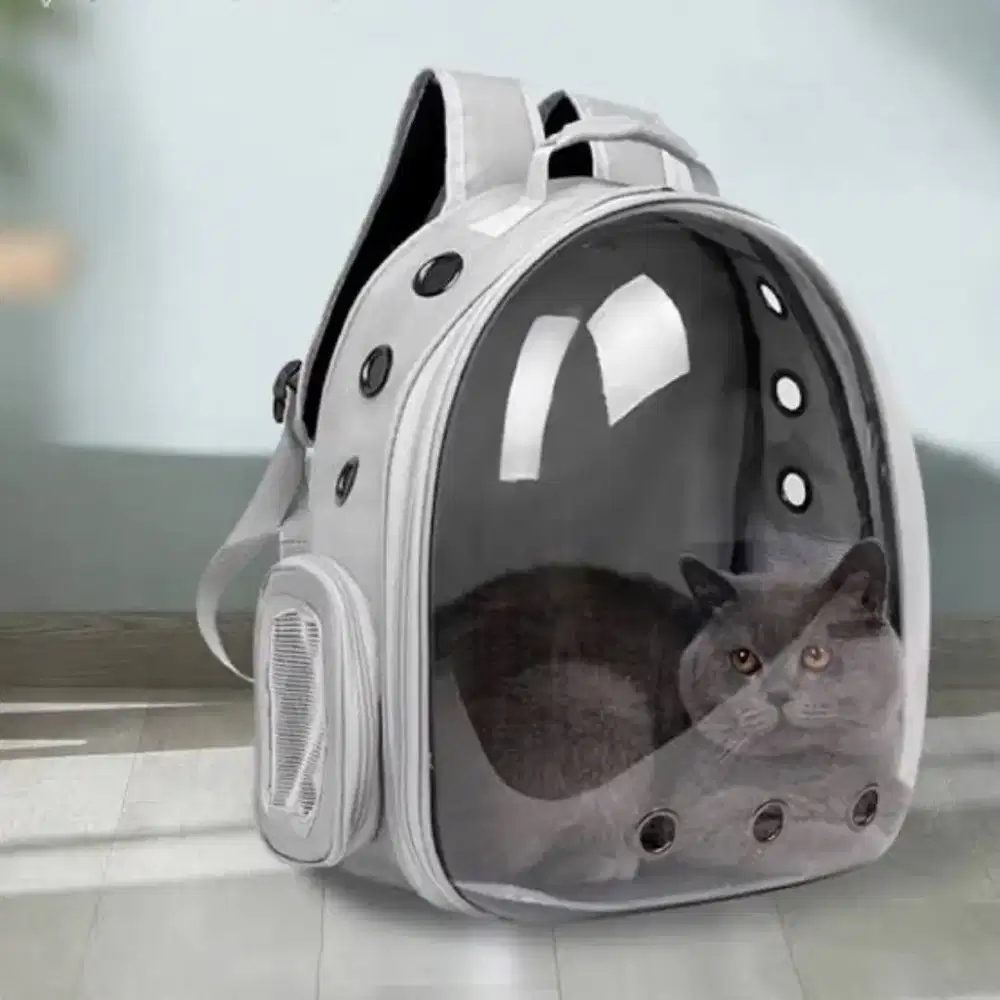 Tas kucing baru