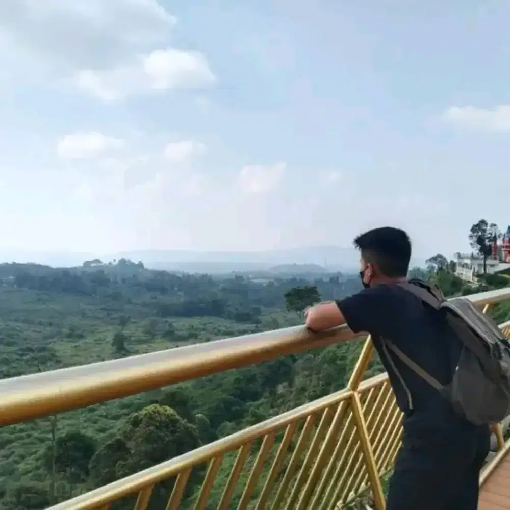 Mencari Lowongan Kerja