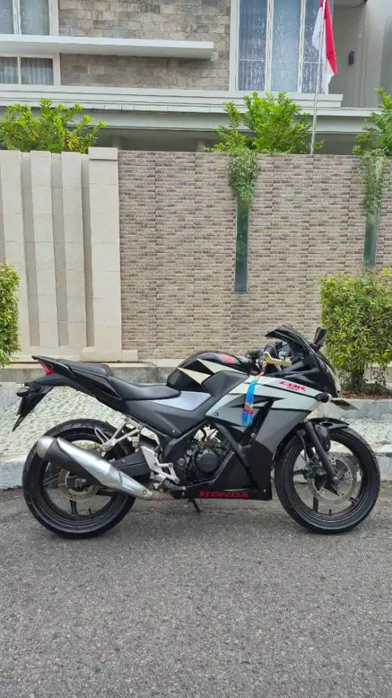 Honda CBR 150 K45 (2015)