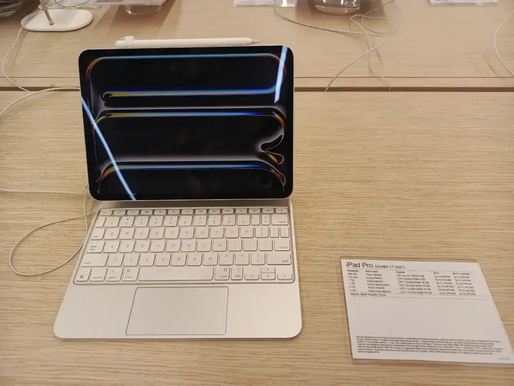 IPAD PRO M4 11 INCH 256 WIFI ONLY