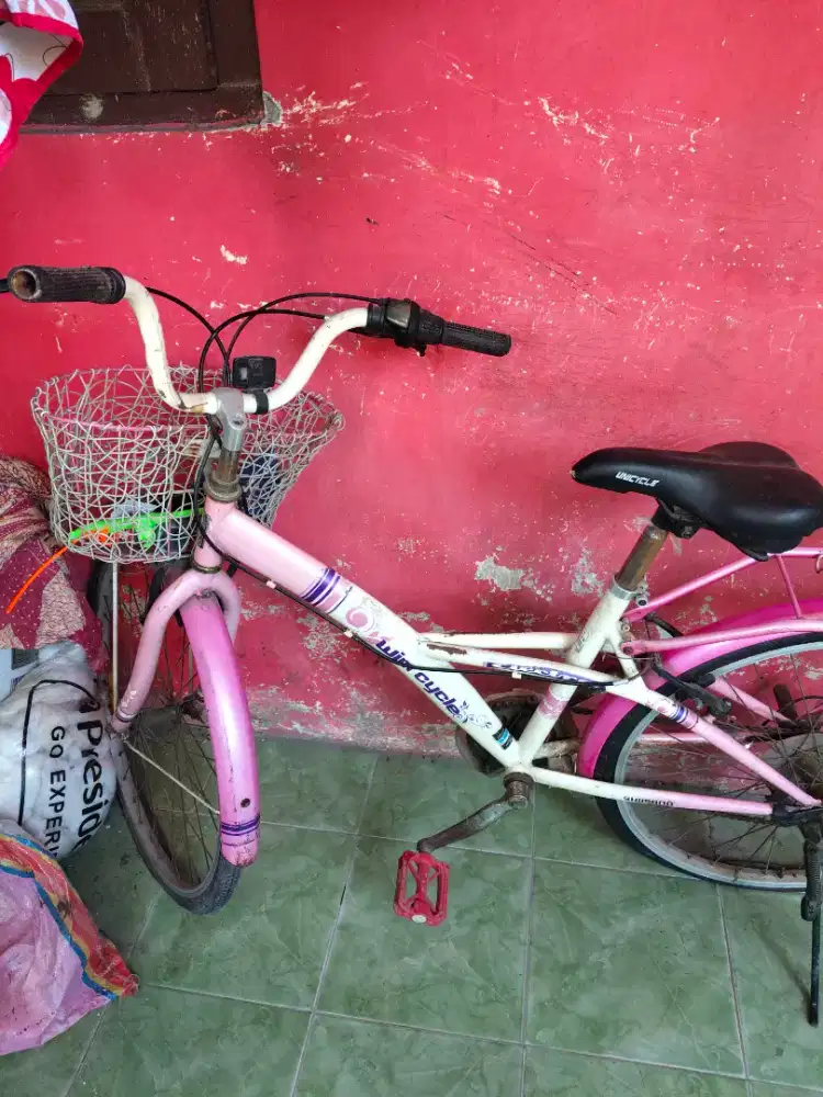 sepeda wim cycle