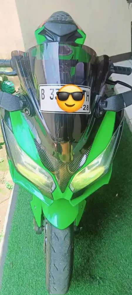 Kawasaki Ninja 300cc Limited Anniv-30th