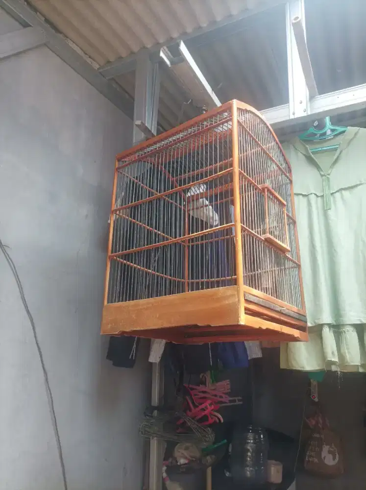 Kandang kotak ukuran no 1 kekar