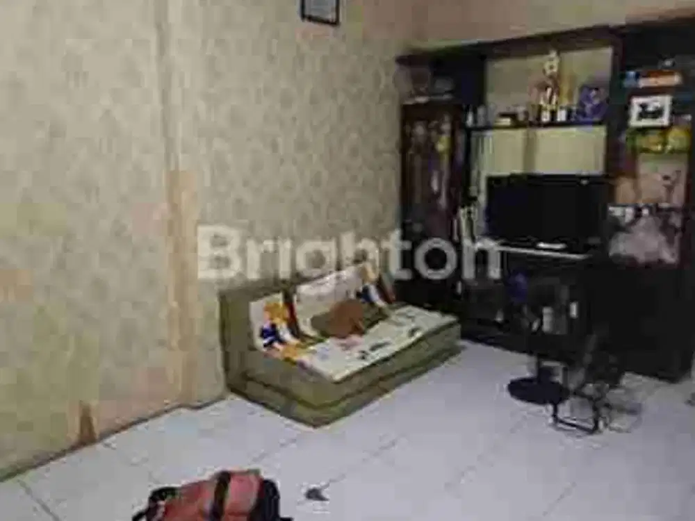 RYNAH 1 LANTAI PADEMANGAN