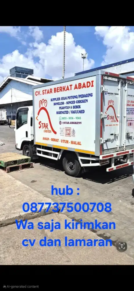 Sopir Serabutan