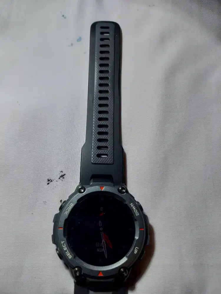 Amazfit T-Rex Pro
