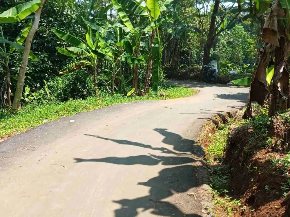 tanah darat kebun