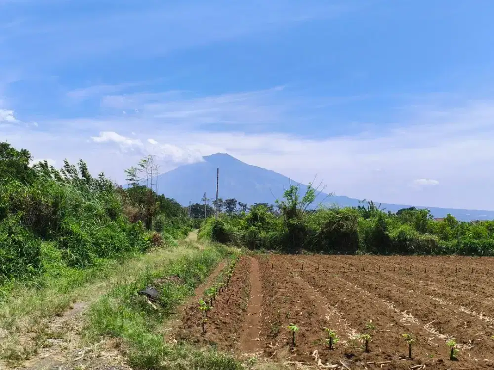 Tanah Harga Launching Cocok Untuk Tabungan Dekat Thursina Kota Malang