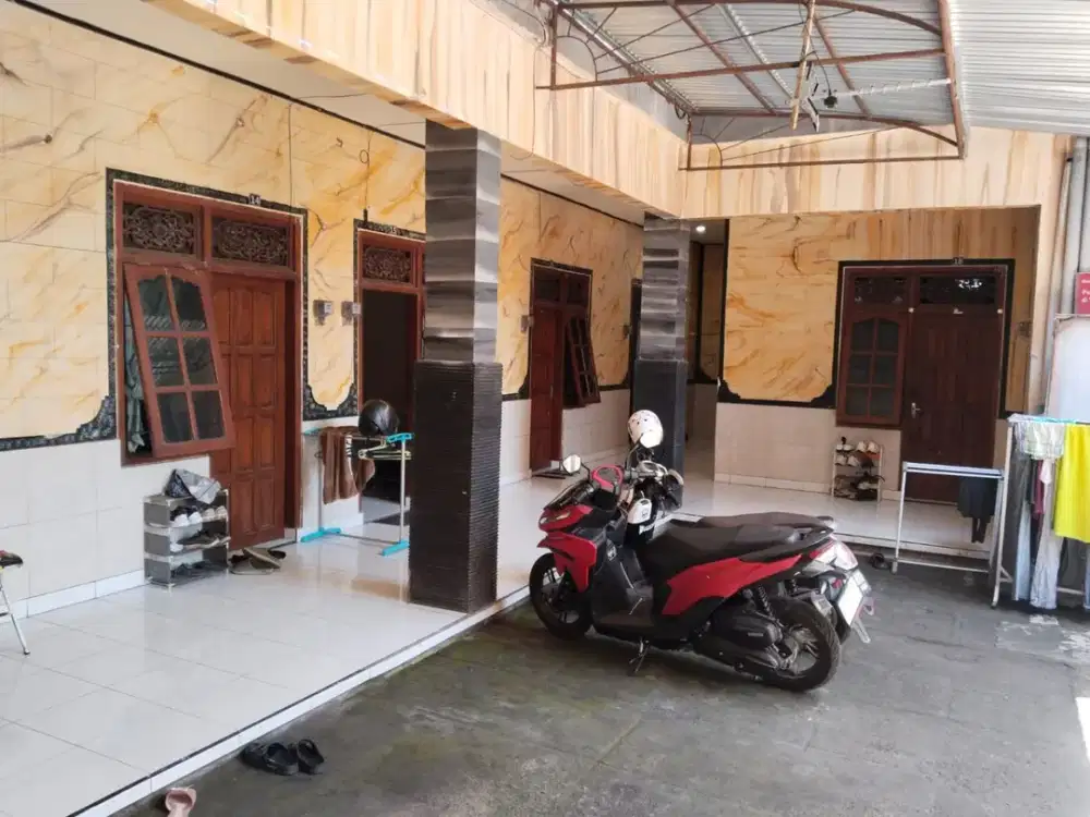 BUC KOST SIAP PANEN DI PANJER DEKAT KAMPUS