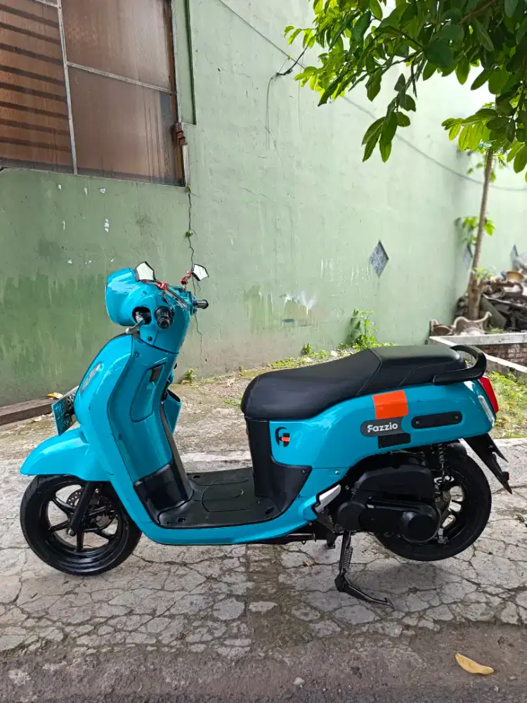 Fazzio tahun 2022