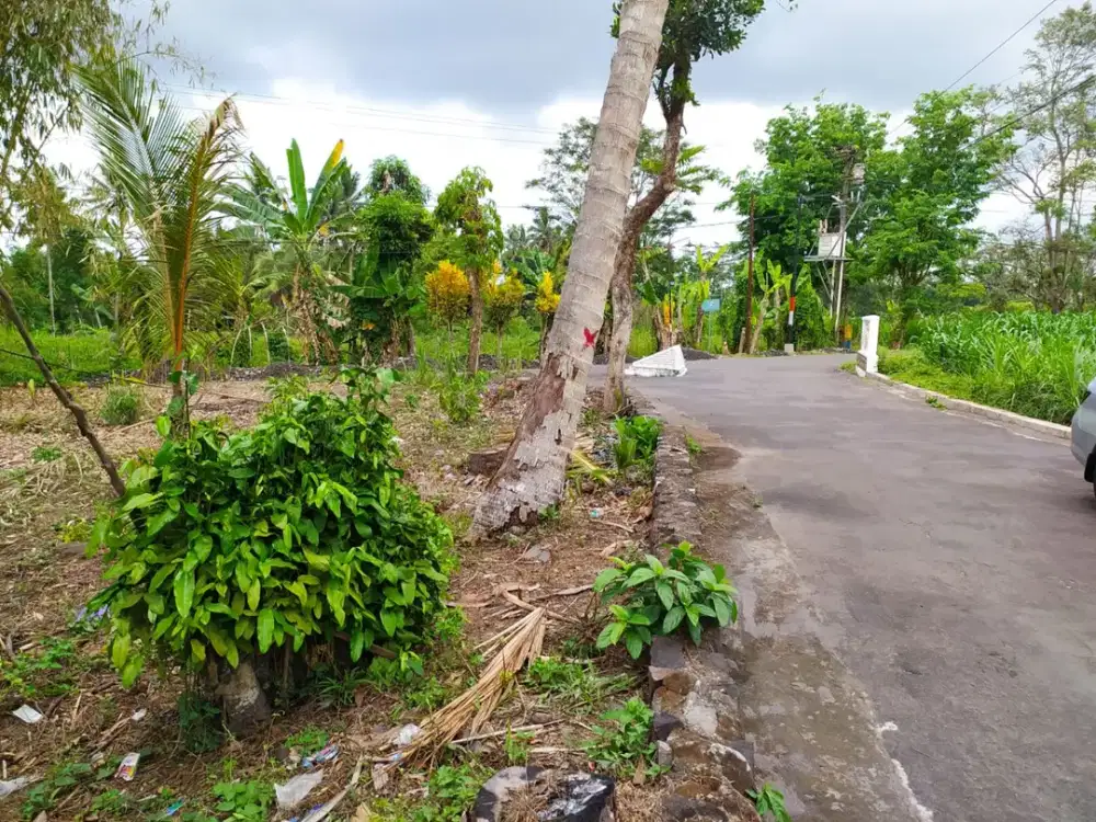 Dekat Global Darusallam school, Include Fasum: Kapling Dijual Jogja
