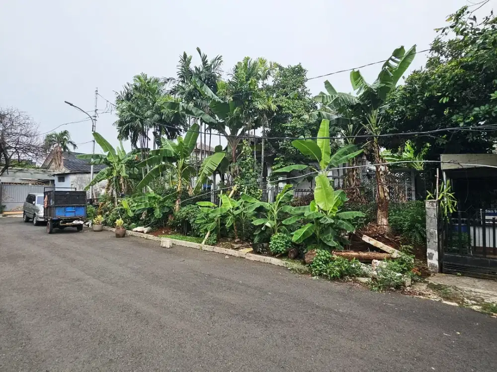 Dalam Komplek, Dkt Patung Pancoran. Tanah Dijual Pancoran - NEGO