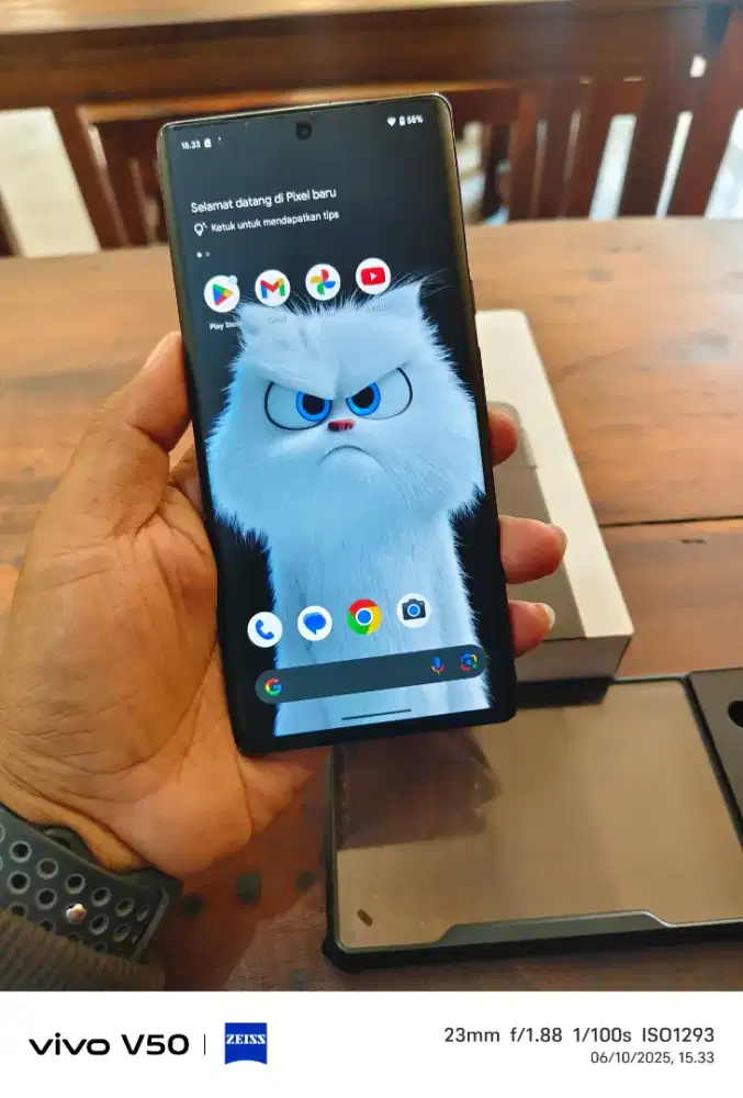 Google Pixel 6 Pro
