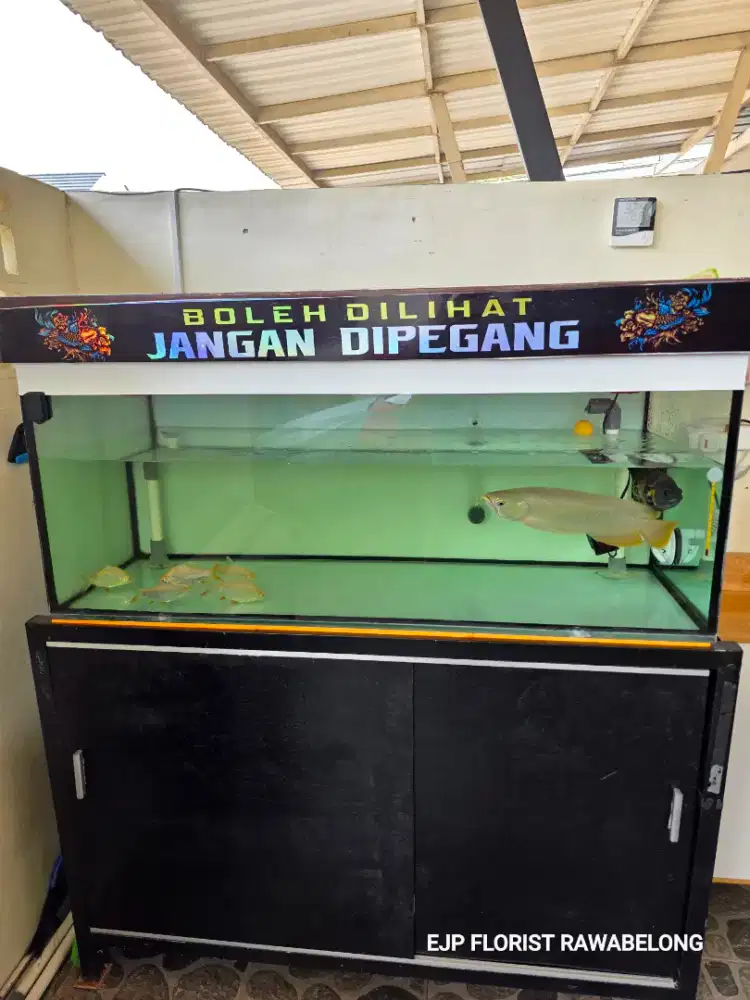 Di Jual Aquarium Ex arowana mulus fullset 120x50x50
