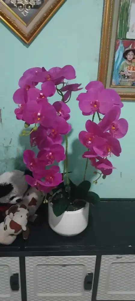 Bunga angrek rankaian