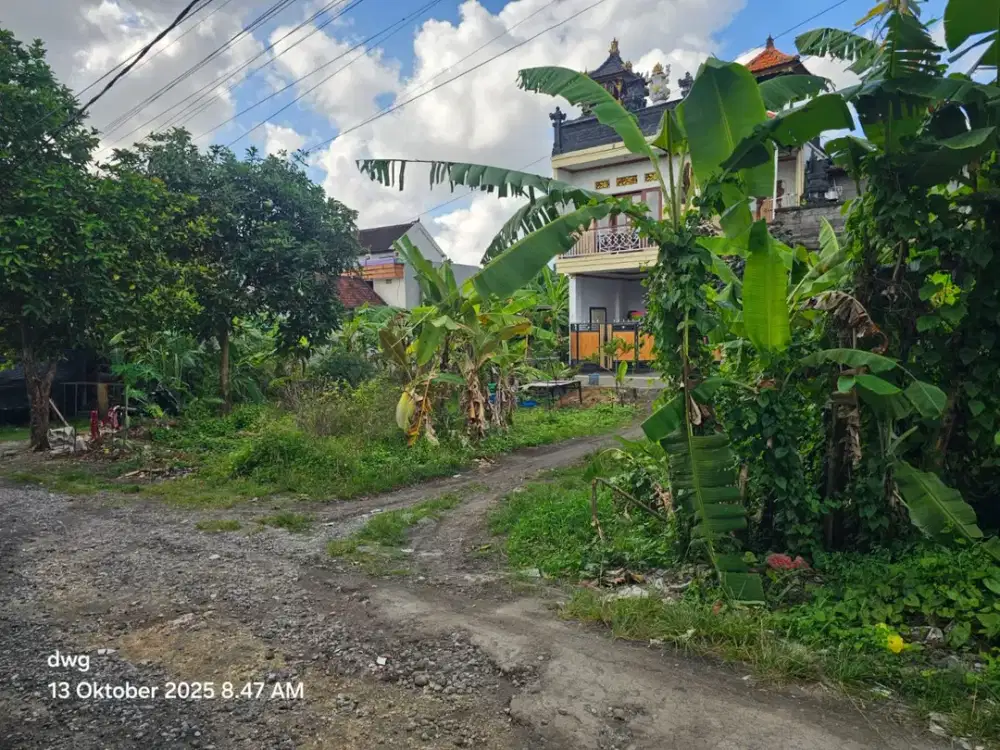 Tanah Komersil Cepaka Kediri Tabanan Bali