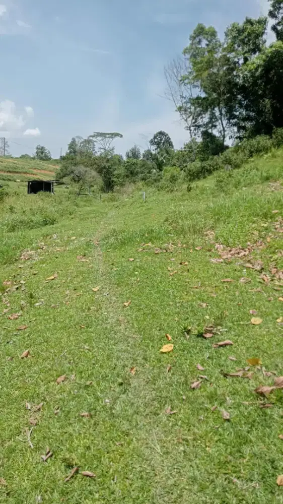 Dijual Cepat Tanah Kapling Luas 300 m2