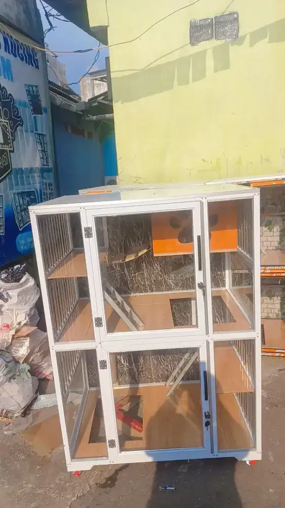 Kandang kucing Rey