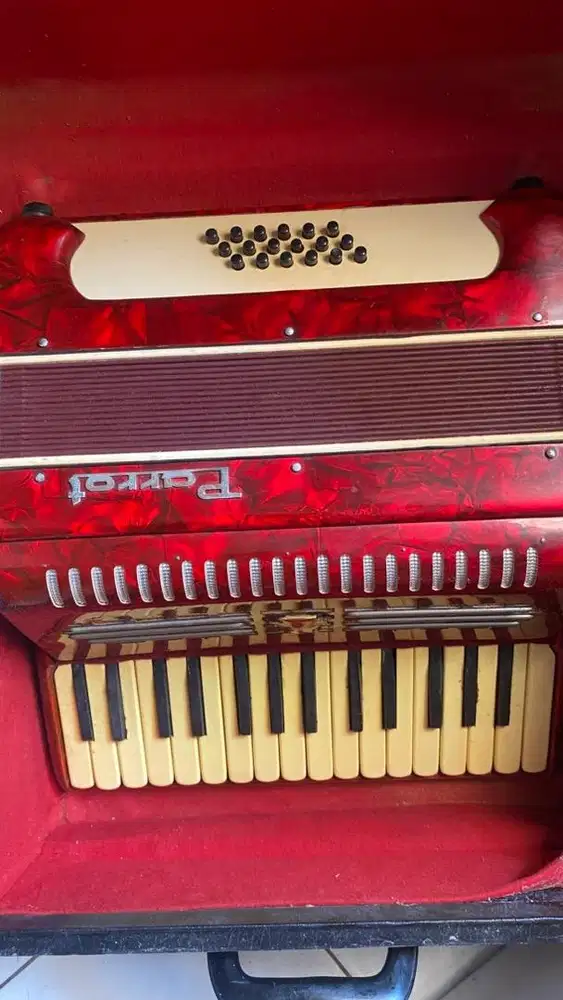 Accordion/akordion PARROT