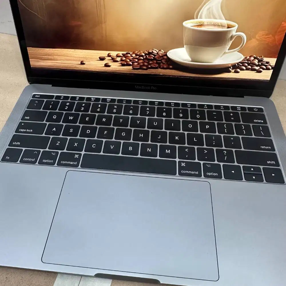 MacBook Pro 13 inch Retina 2017 Non Touchbar RAM 8 SSD 512GB
