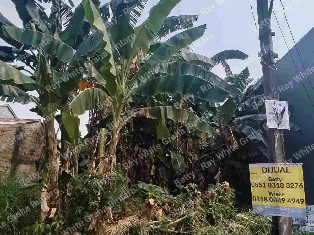 Tanah Kavling Cocok untuk Rumah Tinggal atau Koskosan di Pondok Jaya Sebrang Kampus STAN