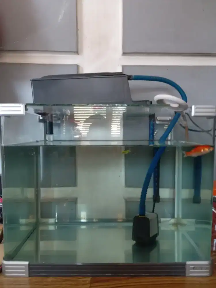 Aquarium boyu size 43x33x37 kondisi like new