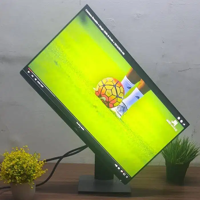 Monitor Dell 24 Inch P2419H sudah IPS, HDMI, FHD, Layar Putar,naik,trn