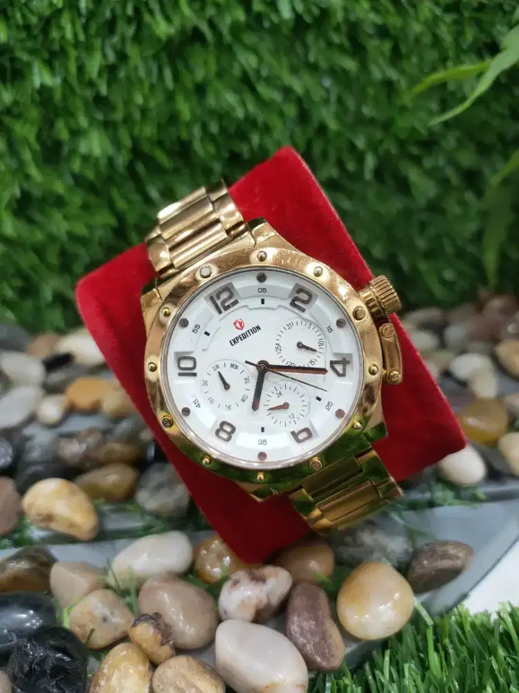 Expedition LGRSL Ladies white dial