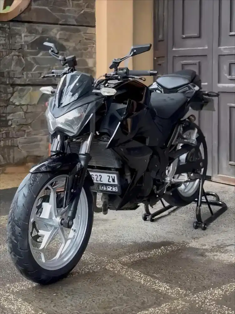 Kawasaki Z250 2013