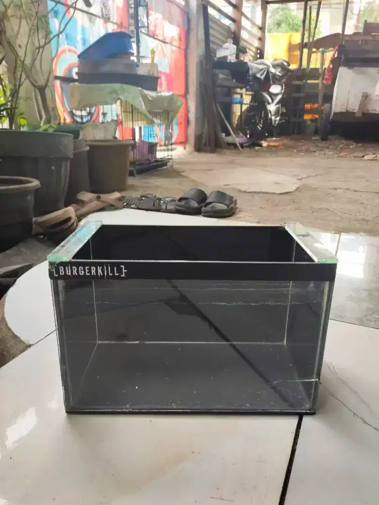 Aquarium mini ikan Hias